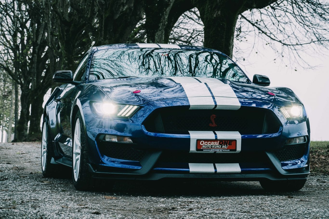 2016 Shelby Mustang im Test: Wie schnell ist das Pony Car wirklich? - Auto Kunz AG 3