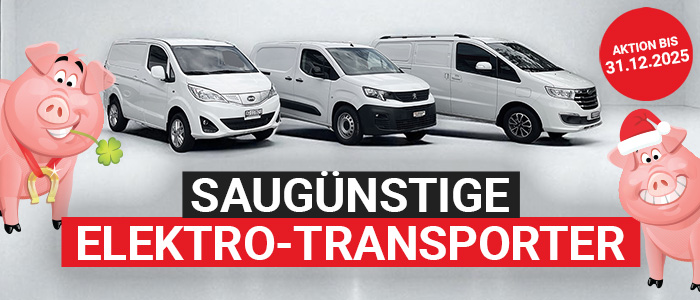 Elektro-Transporter für Unternehmen - Auto Kunz AG mit den schweizweit tiefsten Preisen 1