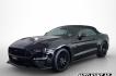 car gallery thumb image